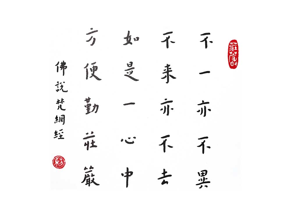 c-DSC04769 c-DSC04769